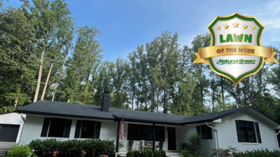 Natural Green Systems Photo